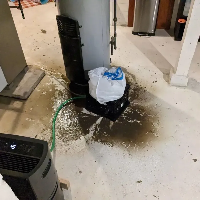 Sewage Backup Cleanup Service in Nicholson, MS